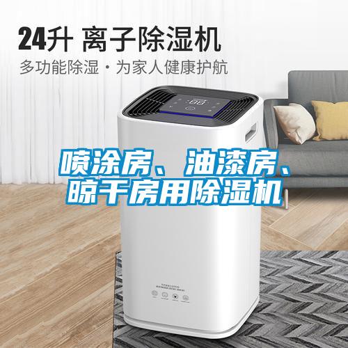 喷涂房、油漆房、晾干房用除湿机