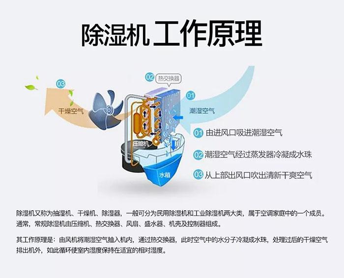 南有“湿冷”北有“雾霾”该咋办？