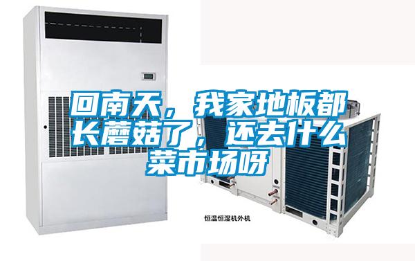 回南天，我家地板都长蘑菇了，还去什么菜市场呀