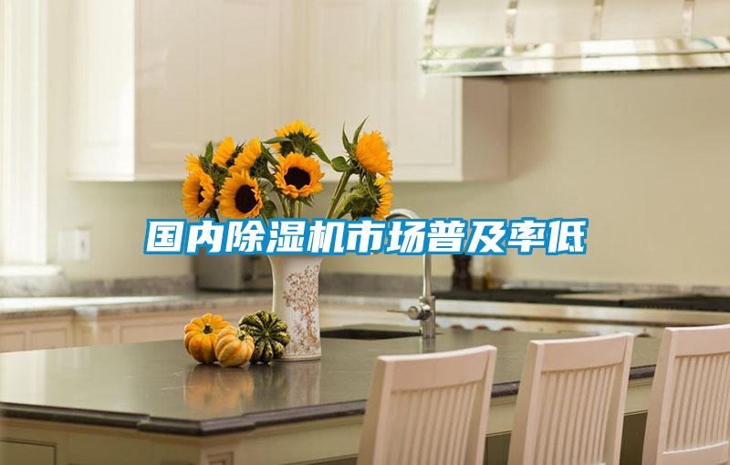 国内除湿机市场普及率低