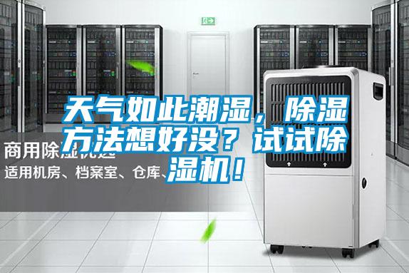 天气如此潮湿，除湿方法想好没？试试除湿机！