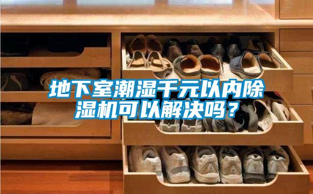 地下室潮湿千元以内除湿机可以解决吗？