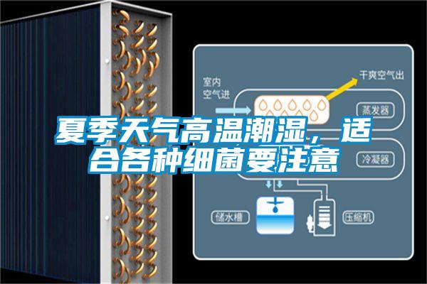 夏季天气高温潮湿,适合各种细菌要注意