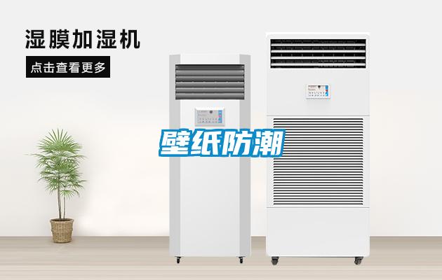 壁纸防潮
