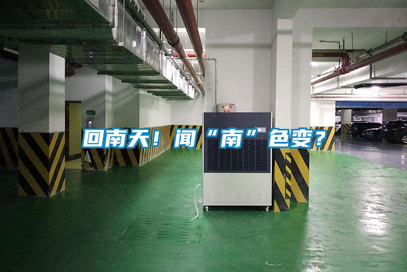 回南天！闻“南”色变？