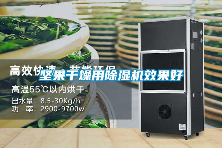 坚果干燥用除湿机效果好