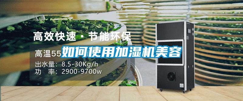 如何使用加湿机美容