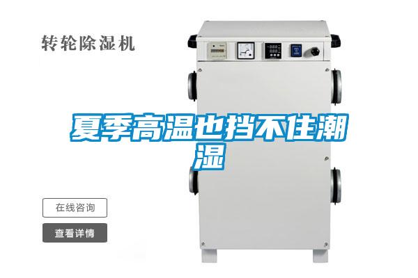 夏季高温也挡不住潮湿