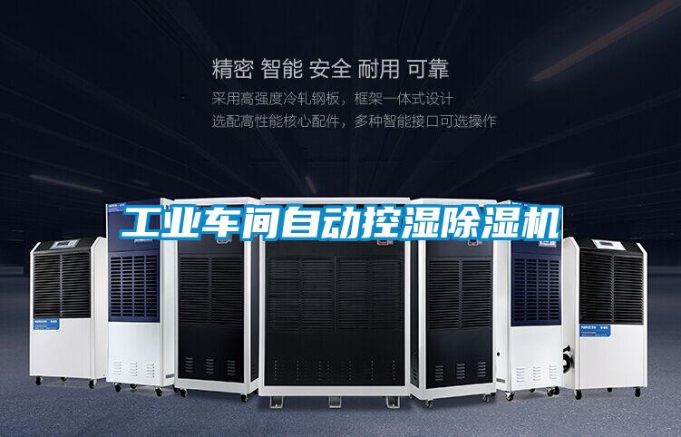 工业车间自动控湿除湿机