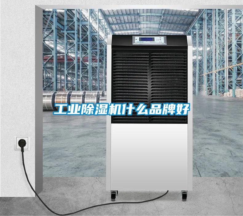 工业除湿机什么品牌好