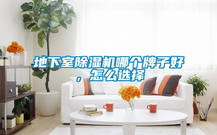 地下室除湿机哪个牌子好，怎么选择