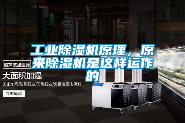 工业除湿机原理,原来除湿机是这样运作的