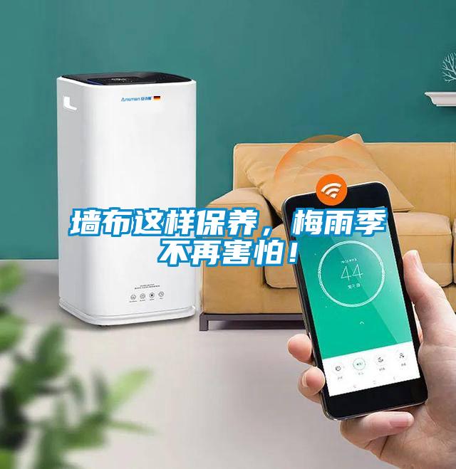 墙布这样保养，梅雨季不再害怕！