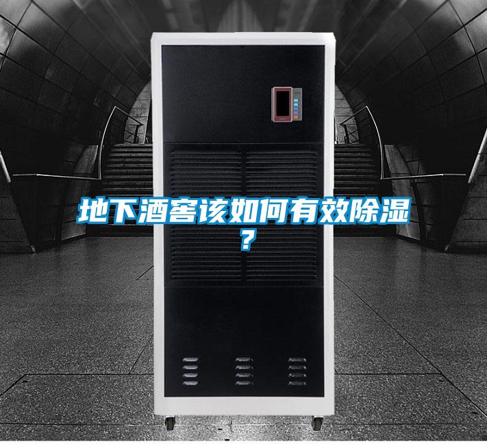 地下酒窖该如何有效除湿？