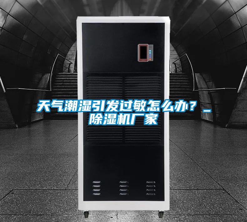 天气潮湿引发过敏怎么办？_除湿机厂家