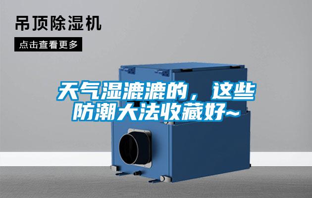 天气湿漉漉的，这些防潮大法收藏好~