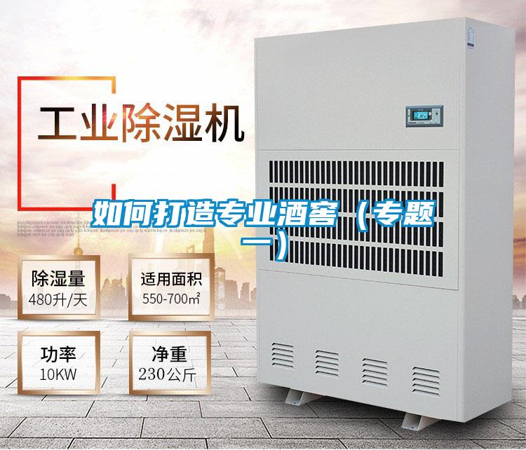 如何打造专业酒窖（专题一）