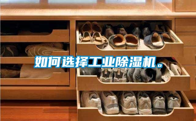 如何选择工业除湿机。