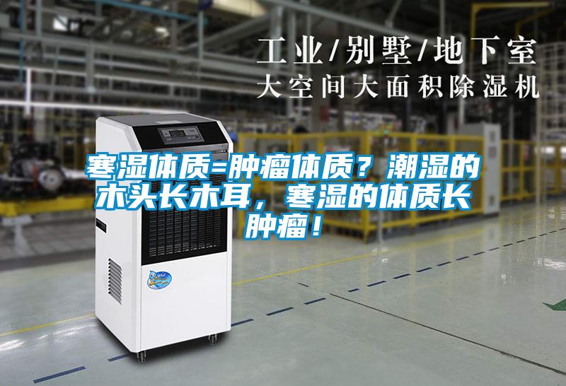 寒湿体质=肿瘤体质？潮湿的木头长木耳，寒湿的体质长肿瘤！