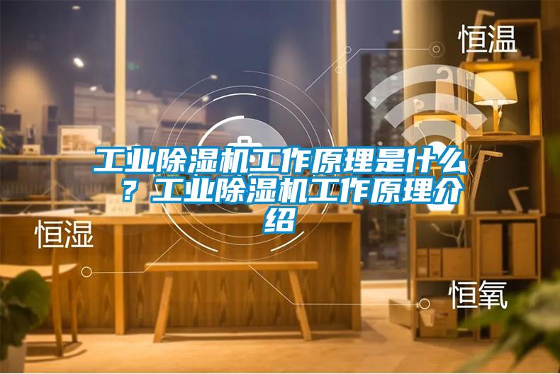 工业除湿机工作原理是什么 ？工业除湿机工作原理介绍