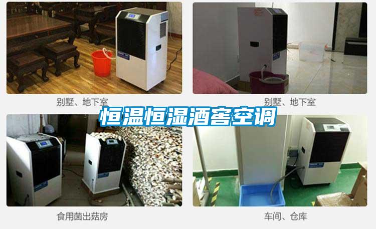 恒温恒湿酒窖空调
