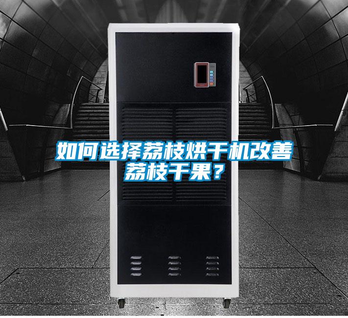 如何选择荔枝烘干机改善荔枝干果？