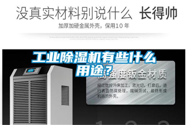 工业除湿机有些什么用途？