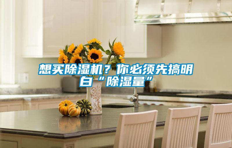 想买除湿机?你必须先搞明白“除湿量”