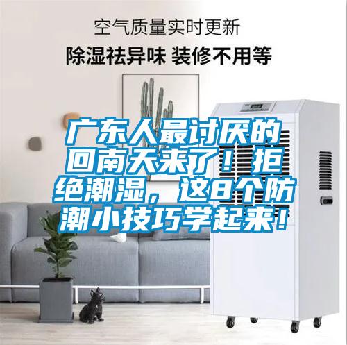 广东人最讨厌的回南天来了！拒绝潮湿，这8个防潮小技巧学起来！