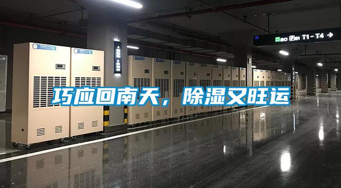 巧应回南天，除湿又旺运