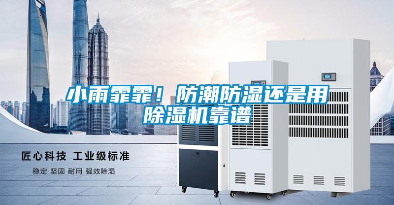 小雨霏霏！防潮防湿还是用除湿机靠谱
