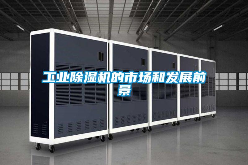 工业除湿机的市场和发展前景