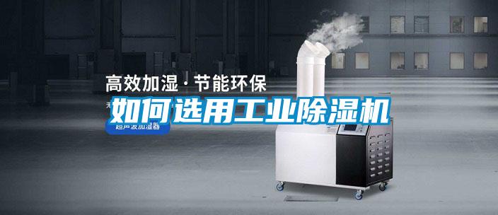 如何选用工业除湿机