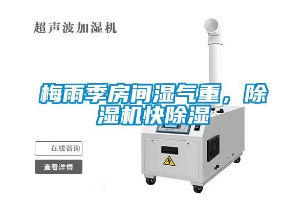 梅雨季房间湿气重,除湿机快除湿
