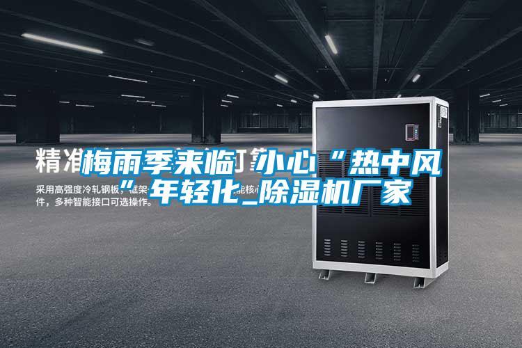 梅雨季来临 小心“热中风”年轻化_除湿机厂家