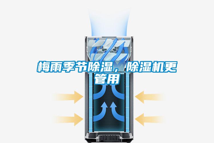 潮湿危害木地板 请用除湿机防范