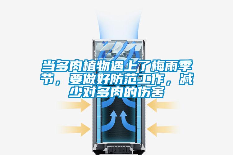 当多肉植物遇上了梅雨季节，要做好防范工作，减少对多肉的伤害