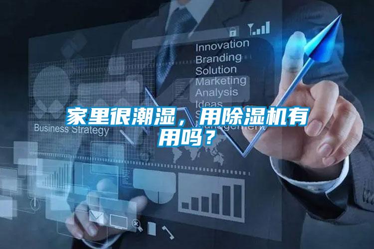 家里很潮湿，用除湿机有用吗？