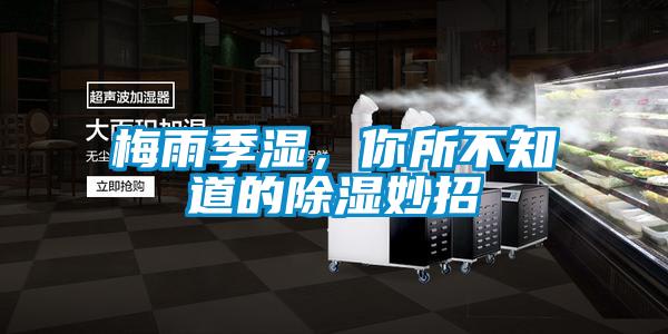 梅雨季湿，你所不知道的除湿妙招