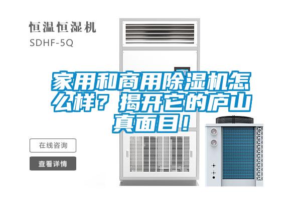 家用和商用除湿机怎么样？揭开它的庐山真面目！