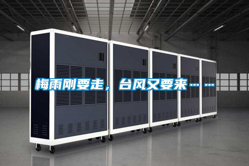 梅雨刚要走，台风又要来……
