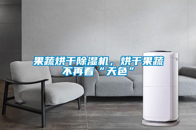 果蔬烘干除湿机，烘干果蔬不再看“天色”