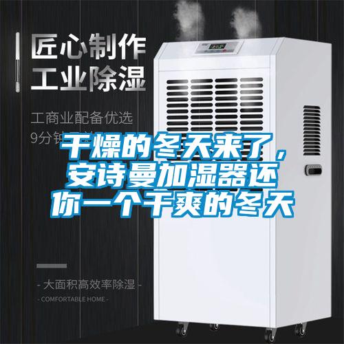 干燥的冬天来了，安诗曼加湿器还你一个干爽的冬天