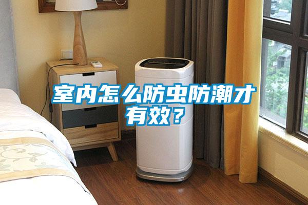 室内怎么防虫防潮才有效？
