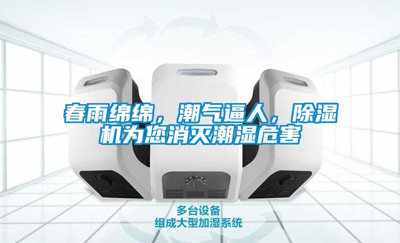 春雨绵绵，潮气逼人，除湿机为您消灭潮湿危害