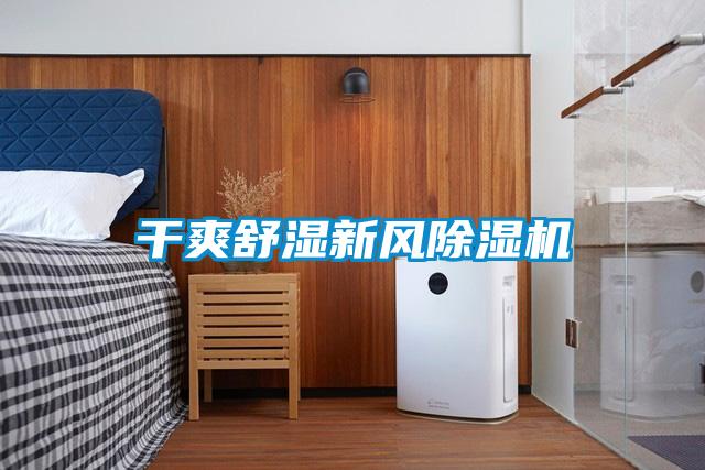 干爽舒湿新风除湿机