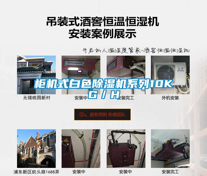 柜机式白色除湿机系列10KG／H
