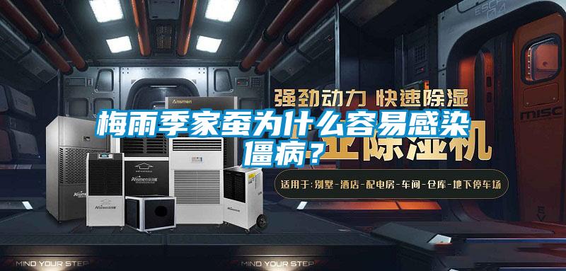 梅雨季家蚕为什么容易感染僵??？