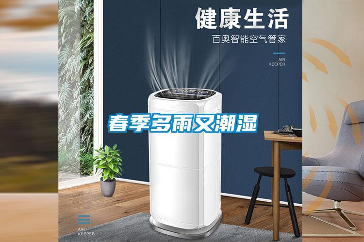 春季多雨又潮湿