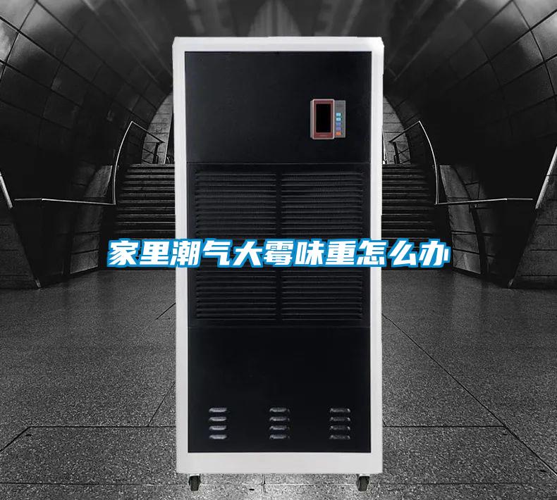 家里潮气大霉味重怎么办